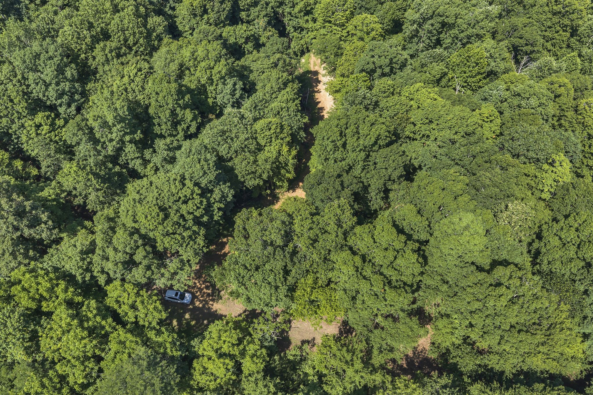 0 East Blue Creek Road McEwen, TN 37101 - Photo 12 of 17