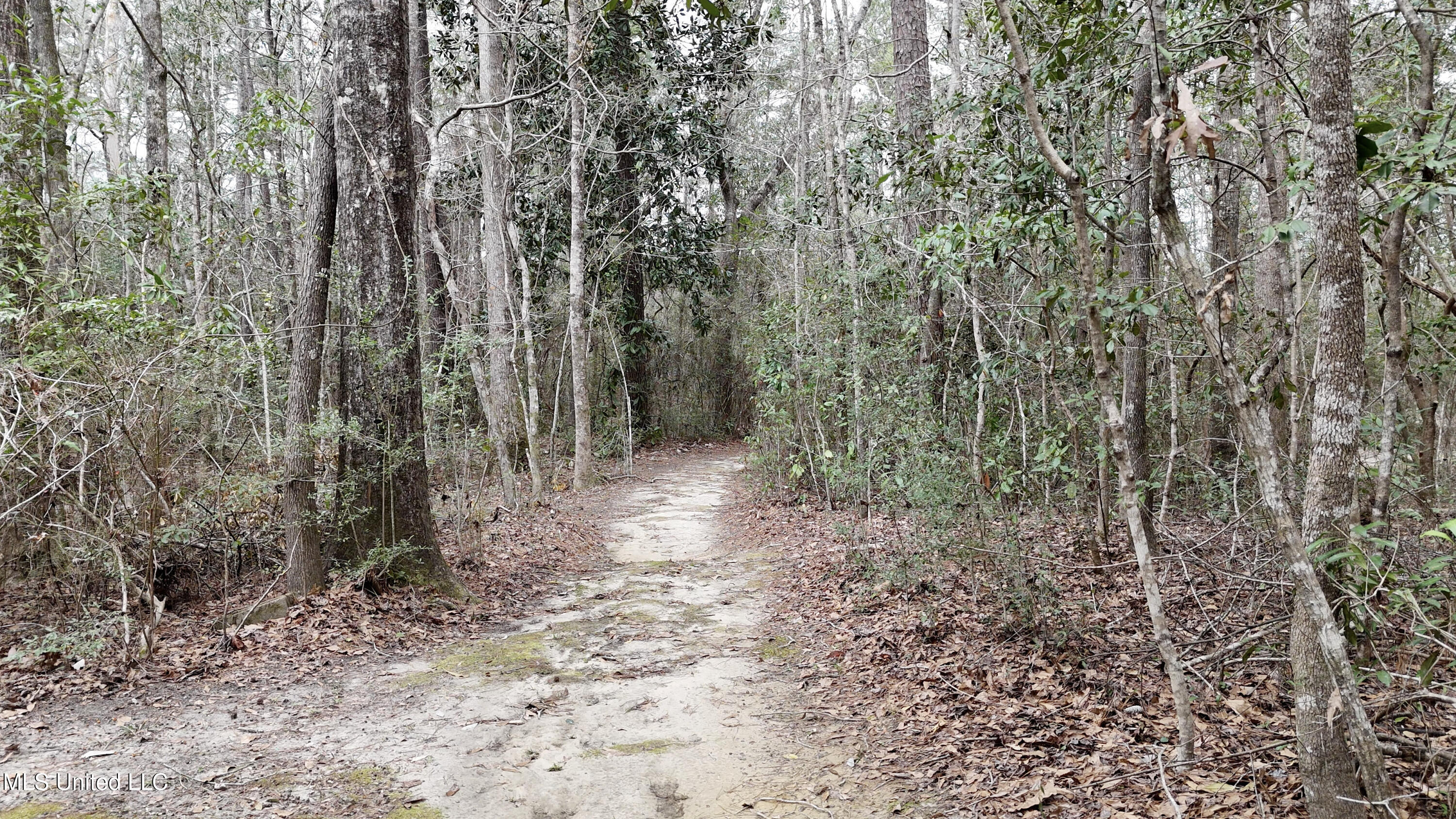18184 Road 227 Saucier, MS 39574 - Photo 38 of 41 Screenshot 2026-02-18 at 10.09.21 AM