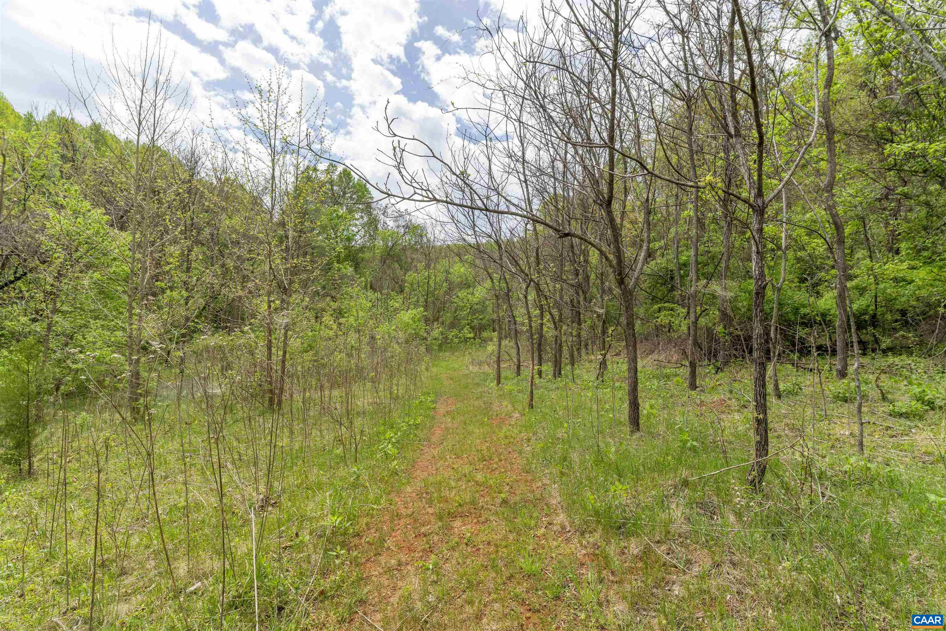3898 Vineyard Road Barboursville, VA 22923 - Photo 50 of 52 Start of 1 mile trail loop