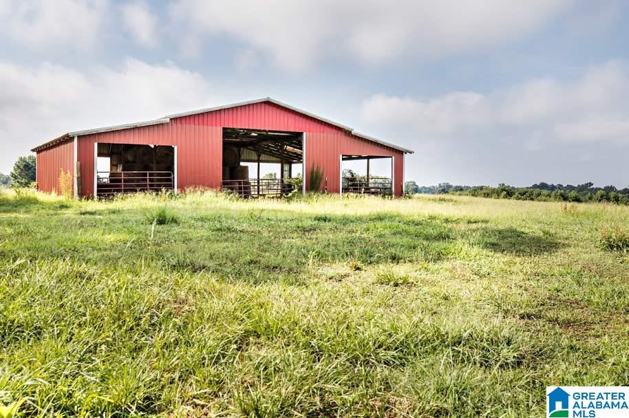 1256 County Road 643 Ranburne, AL 36273 - Photo 5 of 50