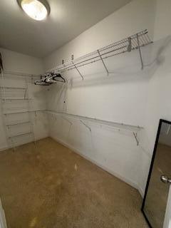 4223 Jade Loop Destin, FL 32541 - Photo 32 of 40 a view of a room with racks on the wall