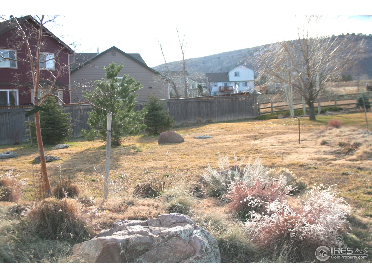 3239 Reedgrass Court Fort Collins, CO 80521 - Photo 1 of 6 Gallery Image 1