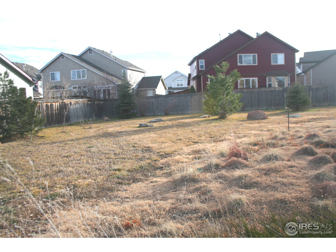 3239 Reedgrass Court Fort Collins, CO 80521 - Photo 2 of 6 Gallery Image 2