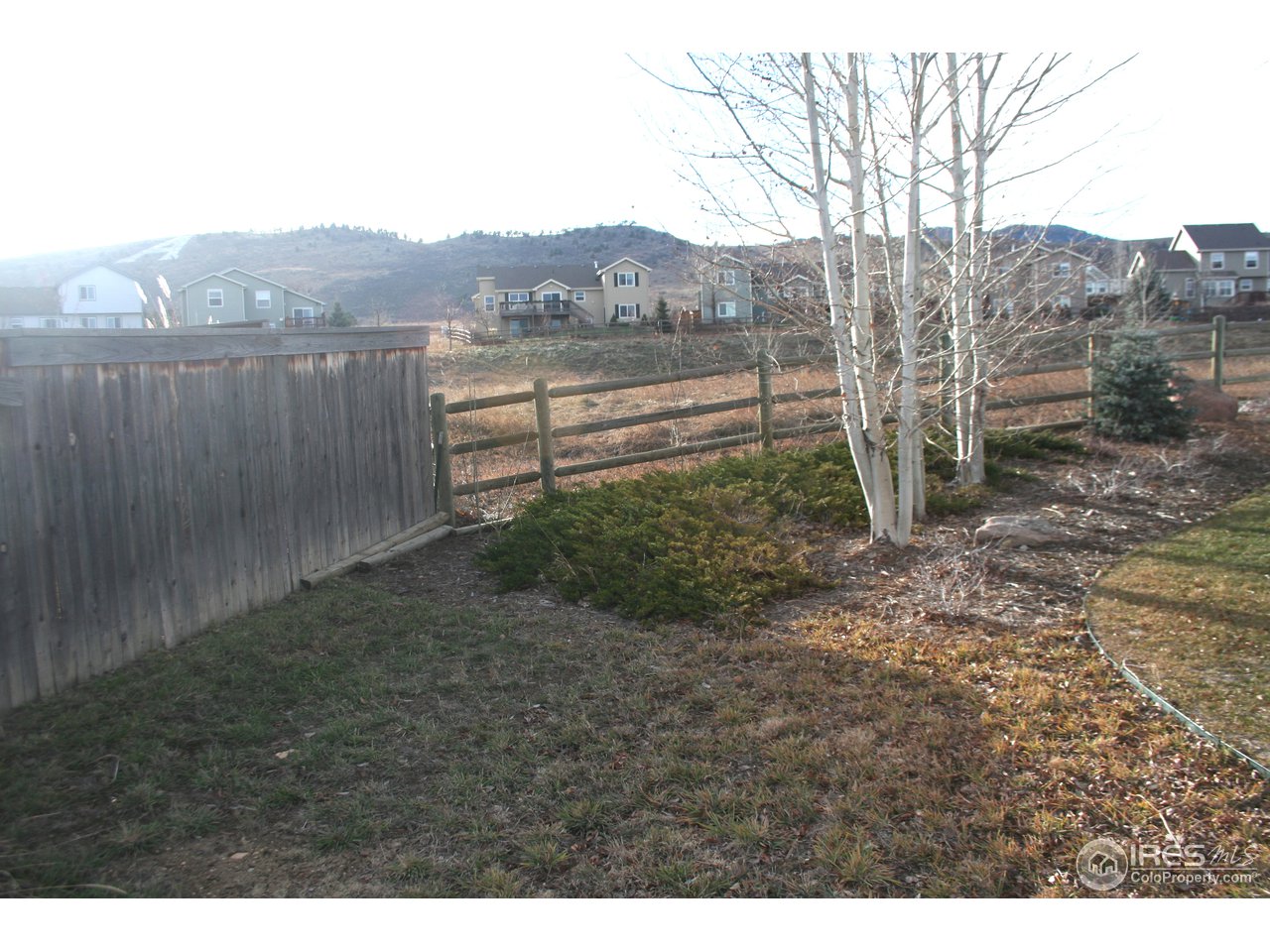 3239 Reedgrass Court Fort Collins, CO 80521 - Photo 3 of 6 Gallery Image 3
