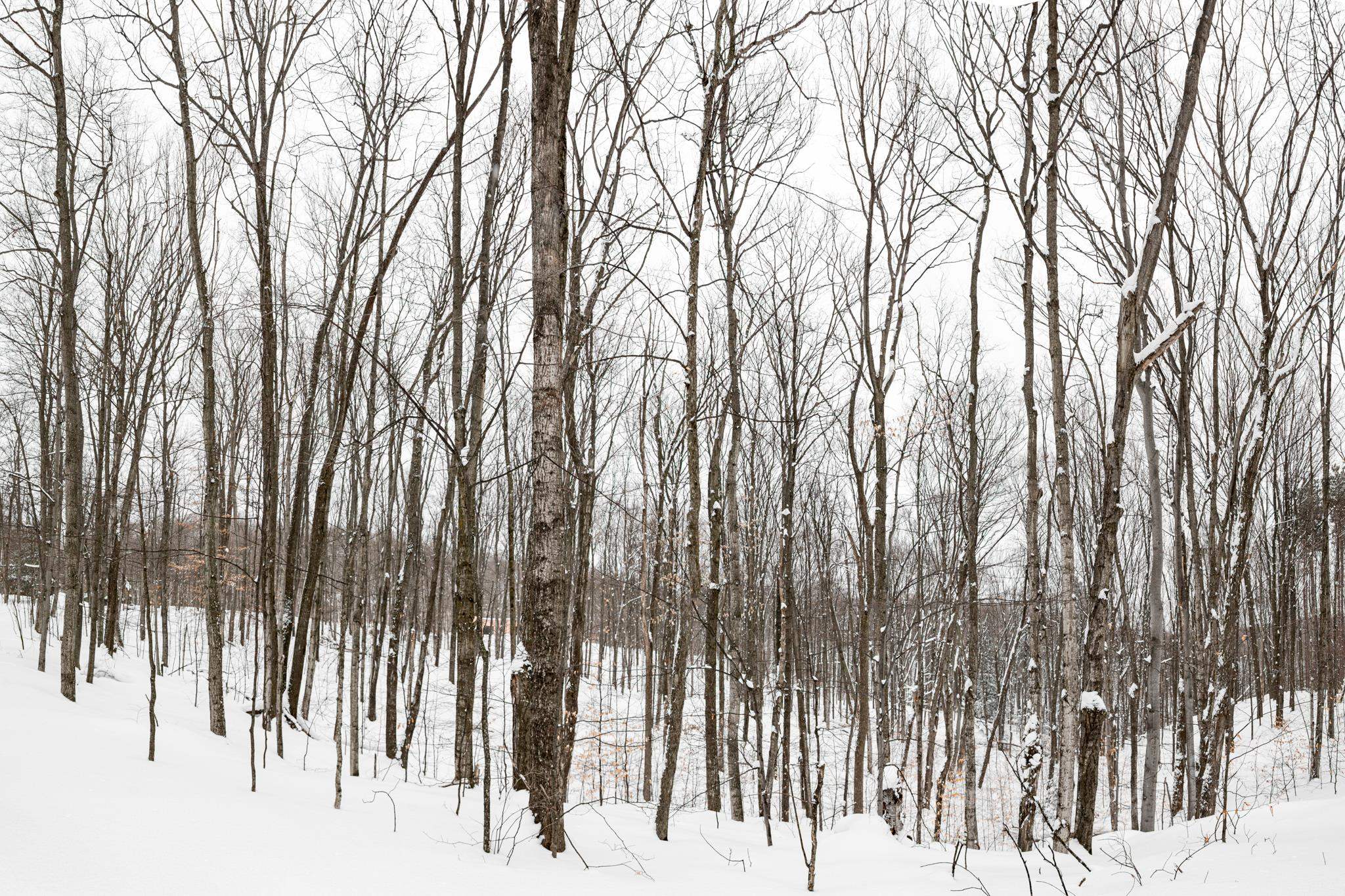 2995 South Schomberg Road Cedar, MI 49621 - Photo 10 of 80 1942108-7fe3fff5-21b7-4c8d-8963-c748fed557cf.JPG