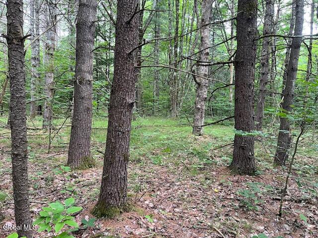 L34 Fred Jensen Road Middleburgh, NY 12122 - Photo 18 of 20 IMG_5704