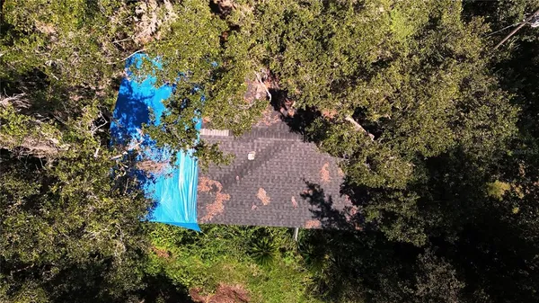 a front view of a house with plants