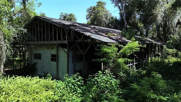 a view of a house with plants and trees