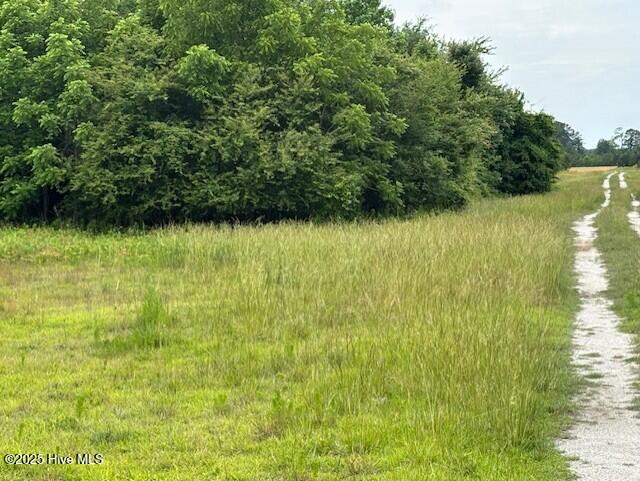 425 Biddle Road Dover, NC 28526 - Photo 33 of 52 thumbnail_IMG_0890