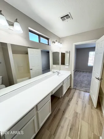 a bathroom with a sink and a toilet
