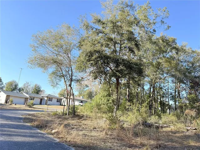 $16,000 | 15331 Northeast 3 Lane, Williston, FL 32696