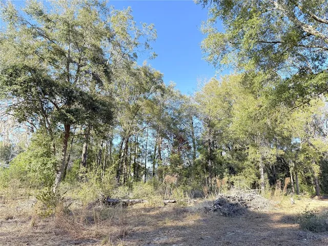 $16,000 | 15331 Northeast 3 Lane, Williston, FL 32696