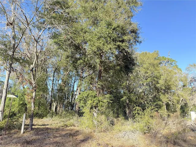 $16,000 | 15331 Northeast 3 Lane, Williston, FL 32696