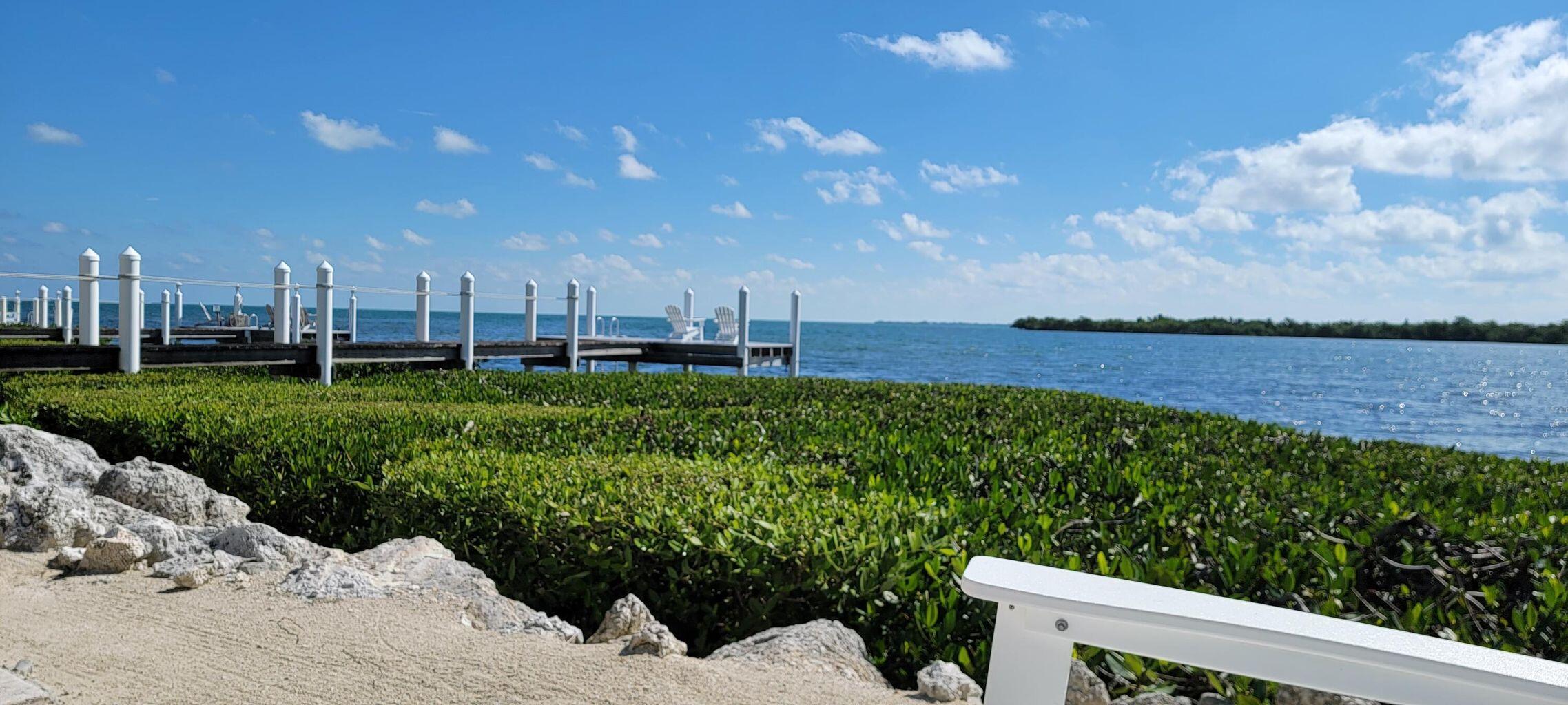 101 Windy Point Circle Marathon, FL 33050 - Photo 3 of 66 a view of a garden with an outdoor space
