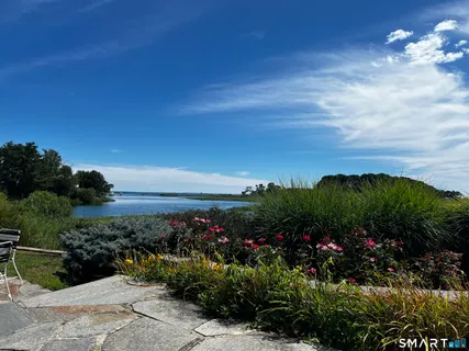 a view of a flower in a garden
