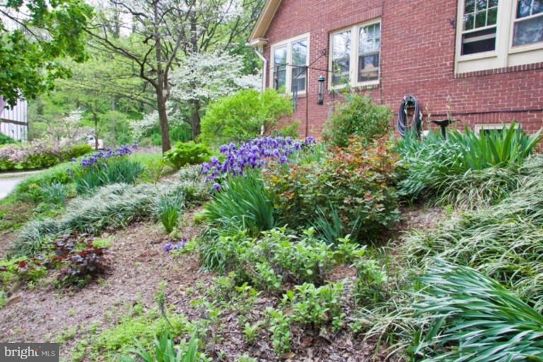 505 Old Orchard Road Baltimore, MD 21229 - Photo 2 of 23 Garden