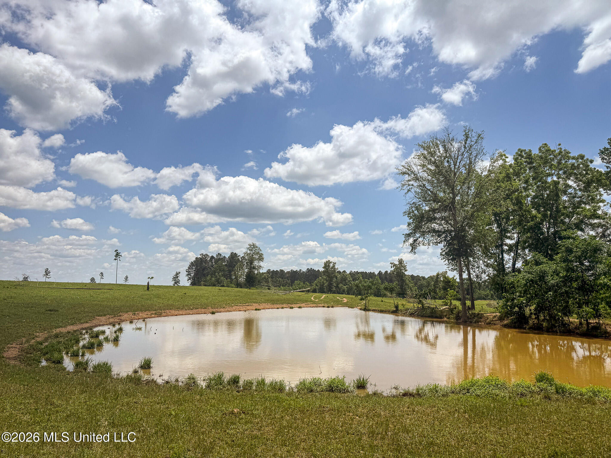 Southeast Gleenwood Road Southeast Ruth, MS 39662 - Photo 17 of 24 IMG_1406-2