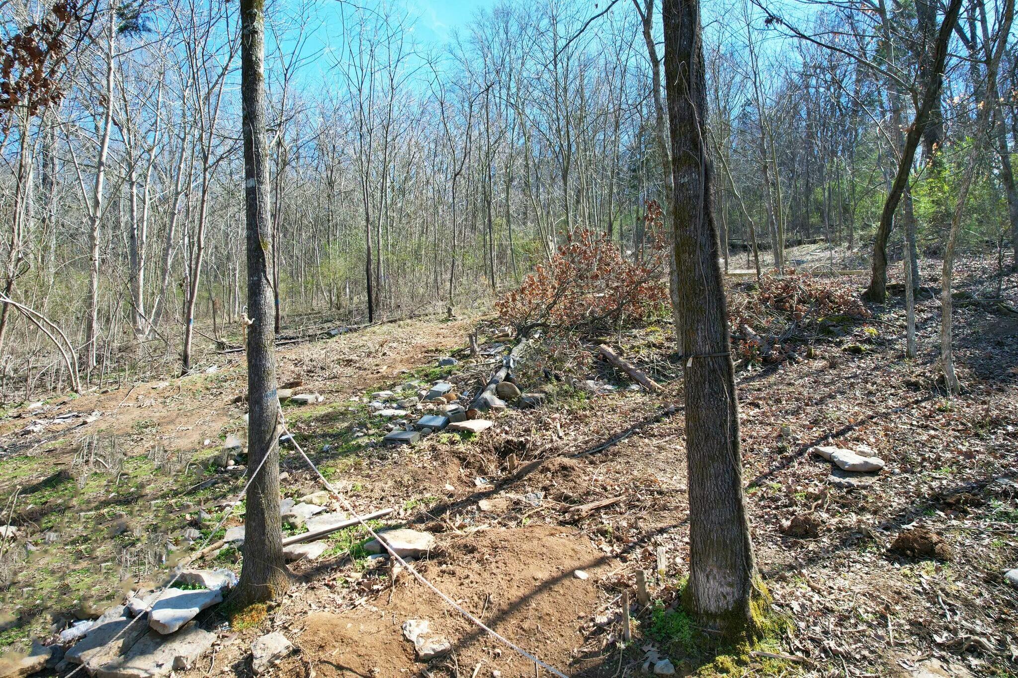 6829 Big Ridge Road Hixson, TN 37343 - Photo 21 of 37 tempImageQm4iiS