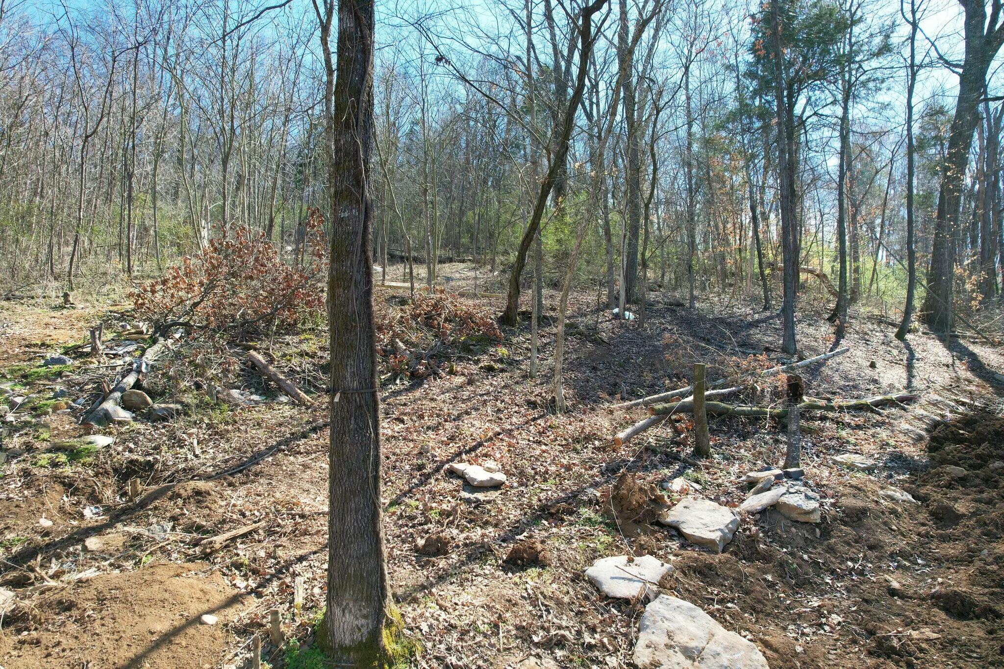 6829 Big Ridge Road Hixson, TN 37343 - Photo 27 of 37 tempImage7CMRYV