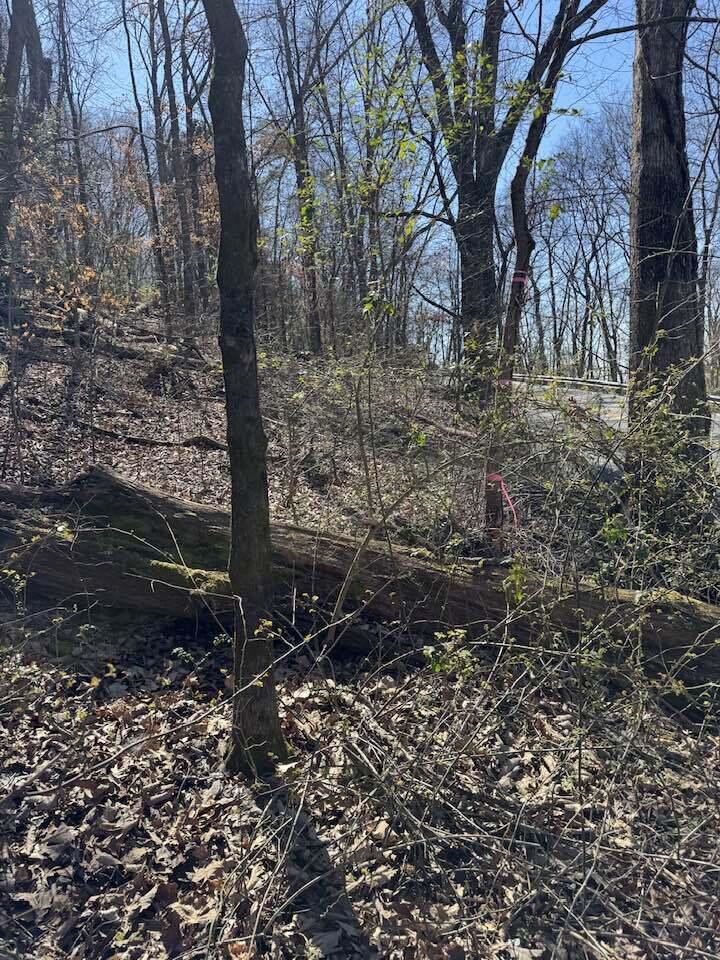 6829 Big Ridge Road Hixson, TN 37343 - Photo 29 of 37 Big Ridge -2