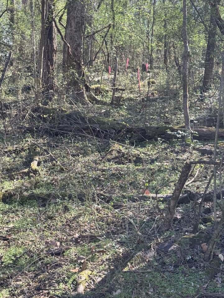 6829 Big Ridge Road Hixson, TN 37343 - Photo 30 of 37 Big Ridge -4