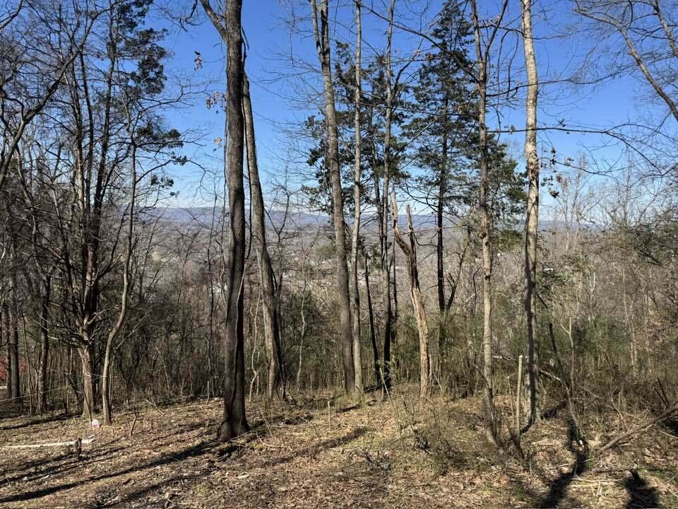 6829 Big Ridge Road Hixson, TN 37343 - Photo 6 of 37 Big Ridge - 1