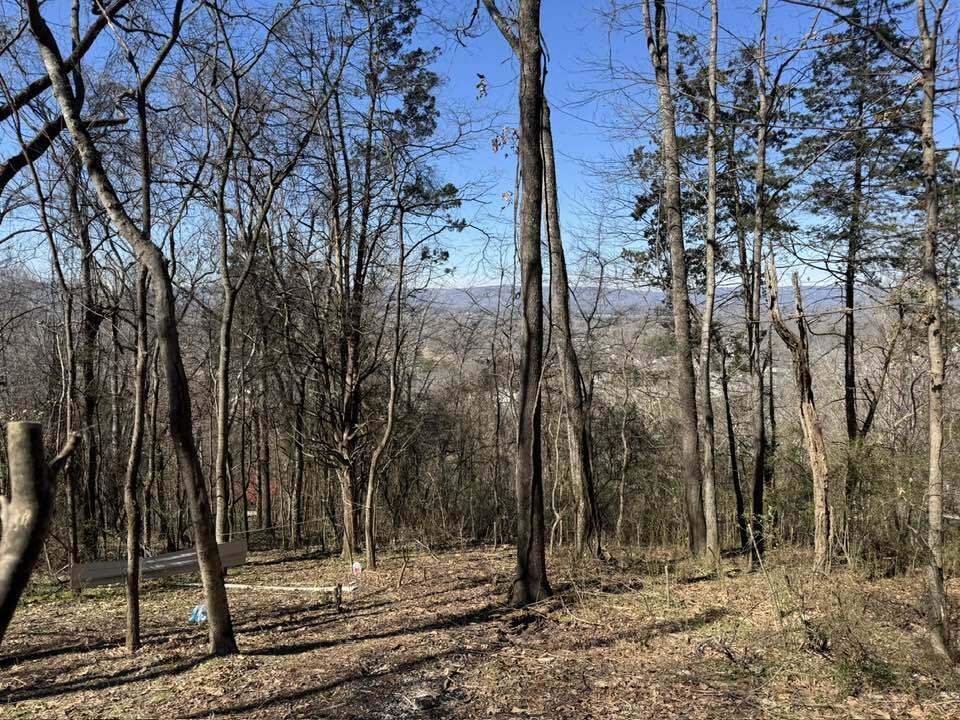 6829 Big Ridge Road Hixson, TN 37343 - Photo 7 of 37 Big Ridge - 5