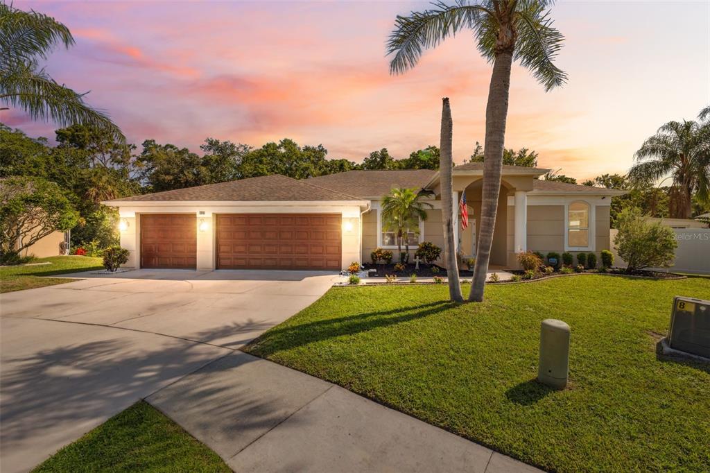 8125 Setters Point Drive New Port Richey, FL 34653 - Photo 1 of 58 Twilight Enhanced