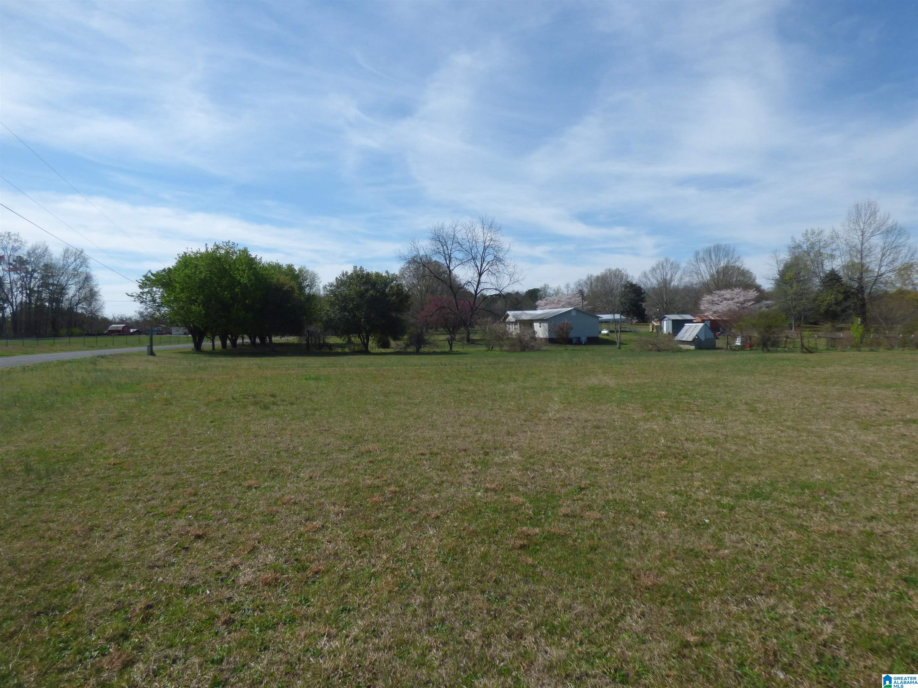 114 Haynes Road Altoona, AL 35952 - Photo 38 of 49