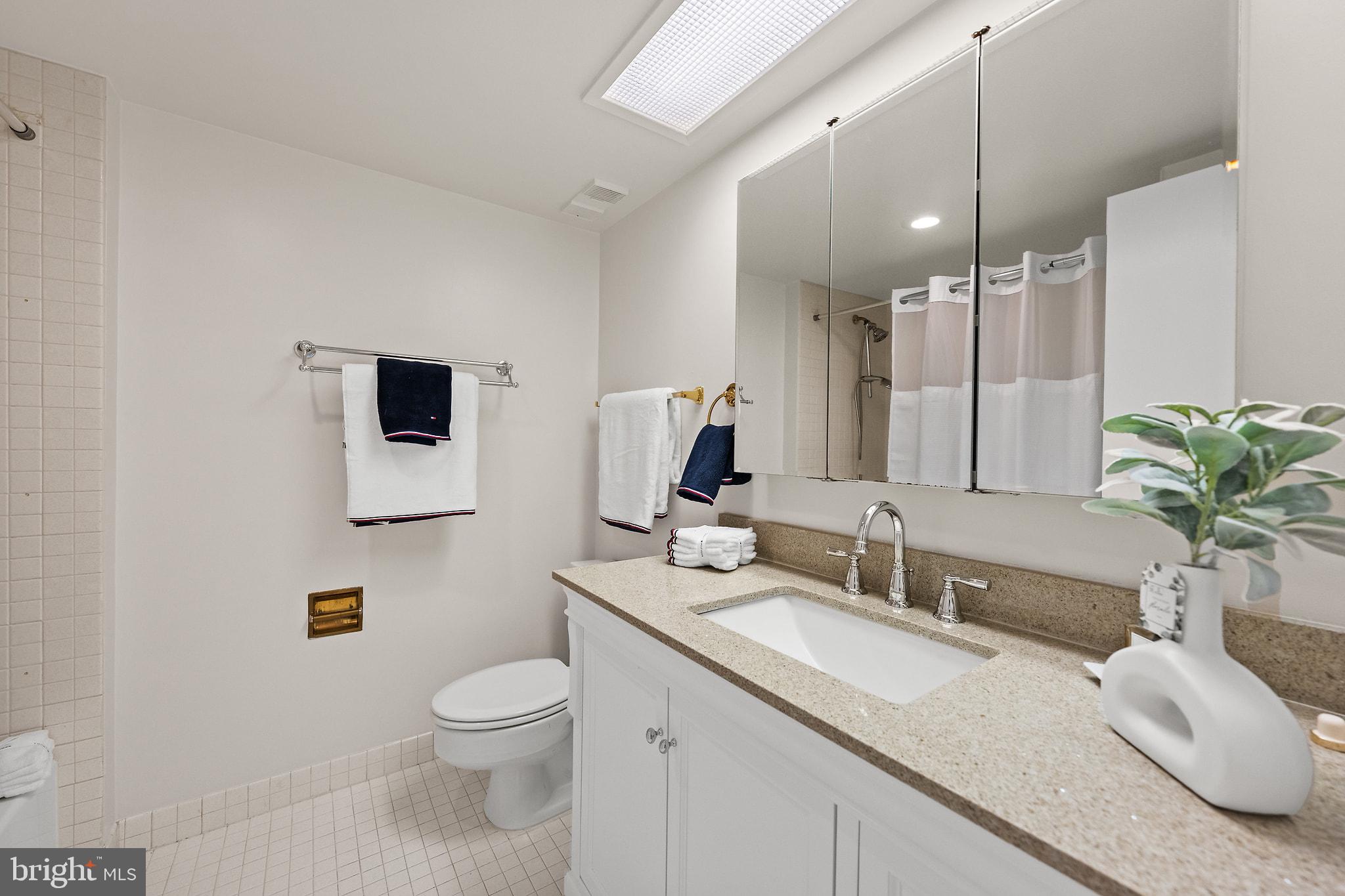 5501 Seminary Road, Unit 2004S Falls Church, VA 22041 - Photo 19 of 47 Bathroom # 2