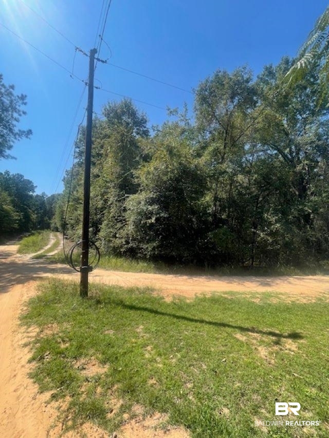 0 Mims Road Chunchula, AL 36521 - Photo 3 of 5