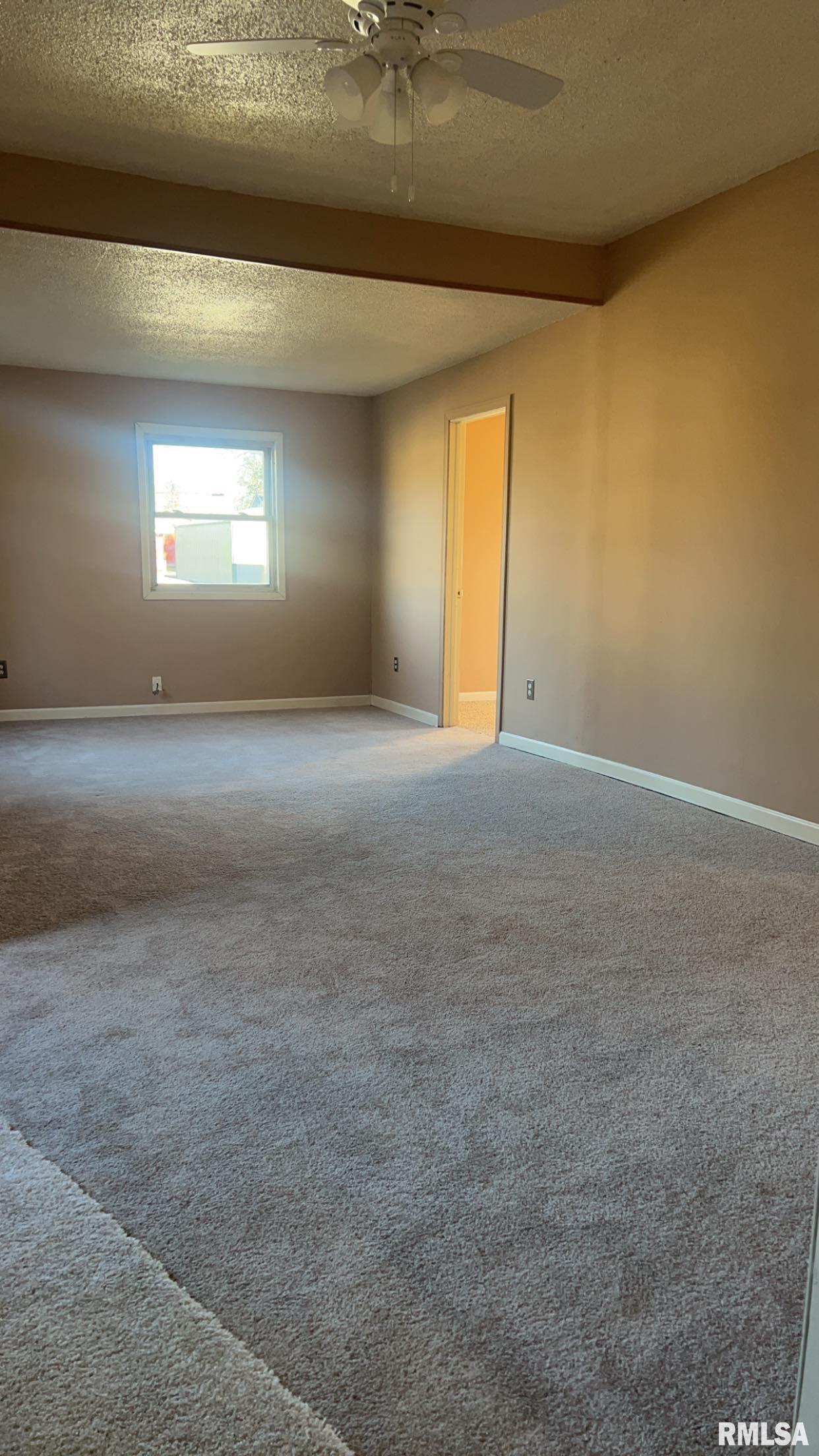 116 North Dean Street Royalton, IL 62983 - Photo 11 of 33