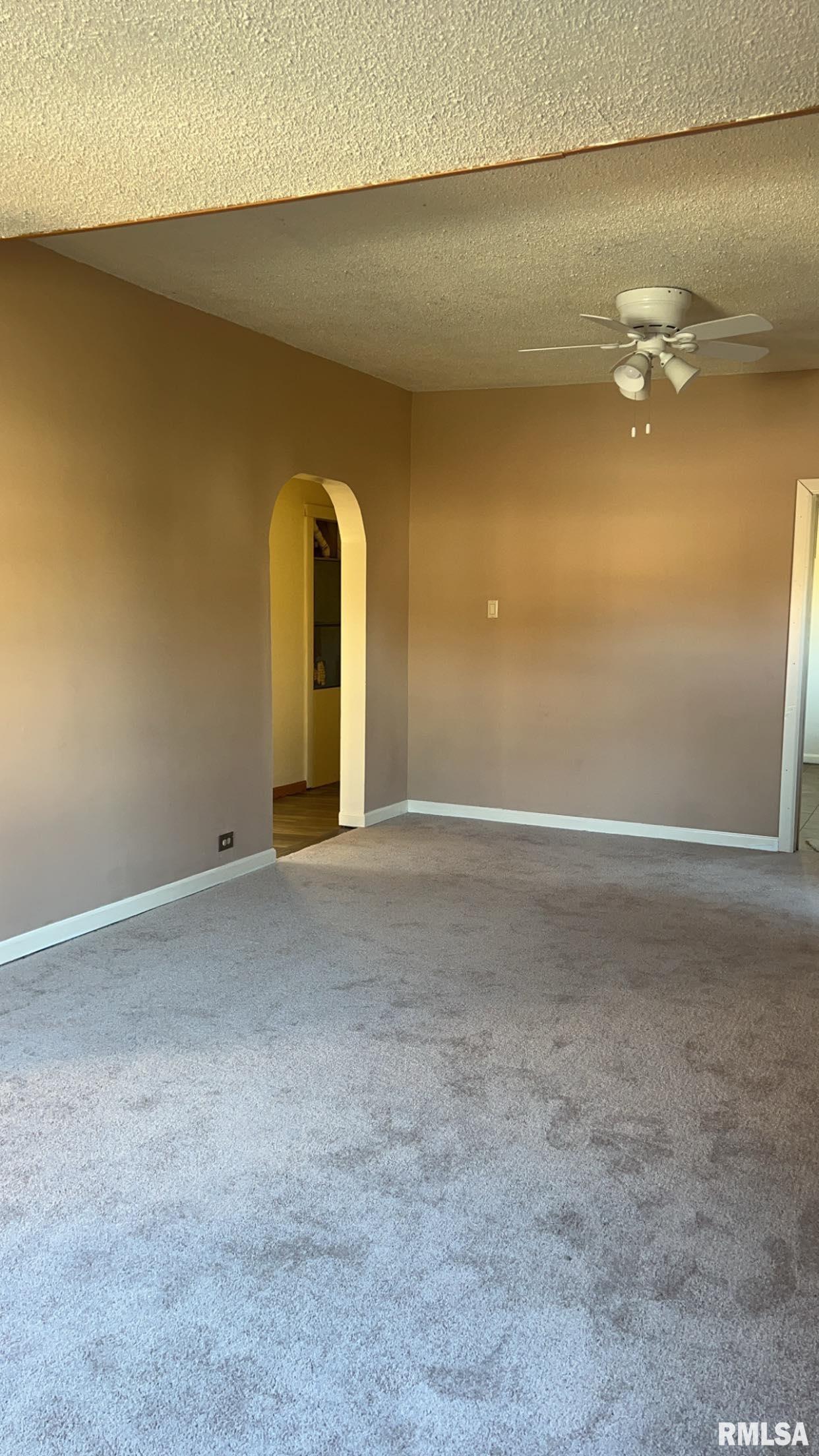 116 North Dean Street Royalton, IL 62983 - Photo 9 of 33