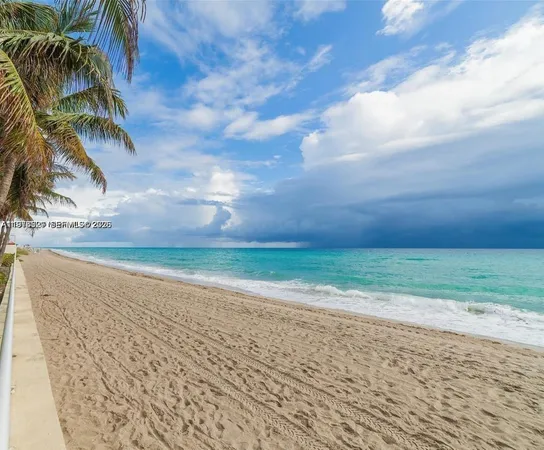 a view of ocean with a palm tree