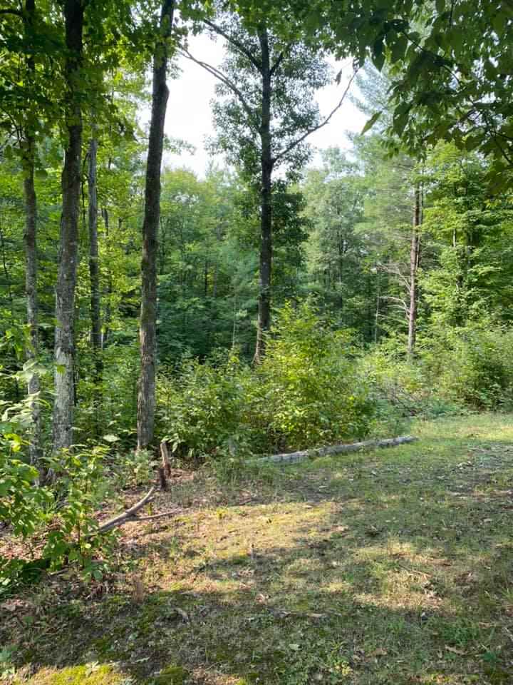 3355 Lund Road Southwest Fife Lake, MI 49633 - Photo 41 of 48 1880084-43.JPG