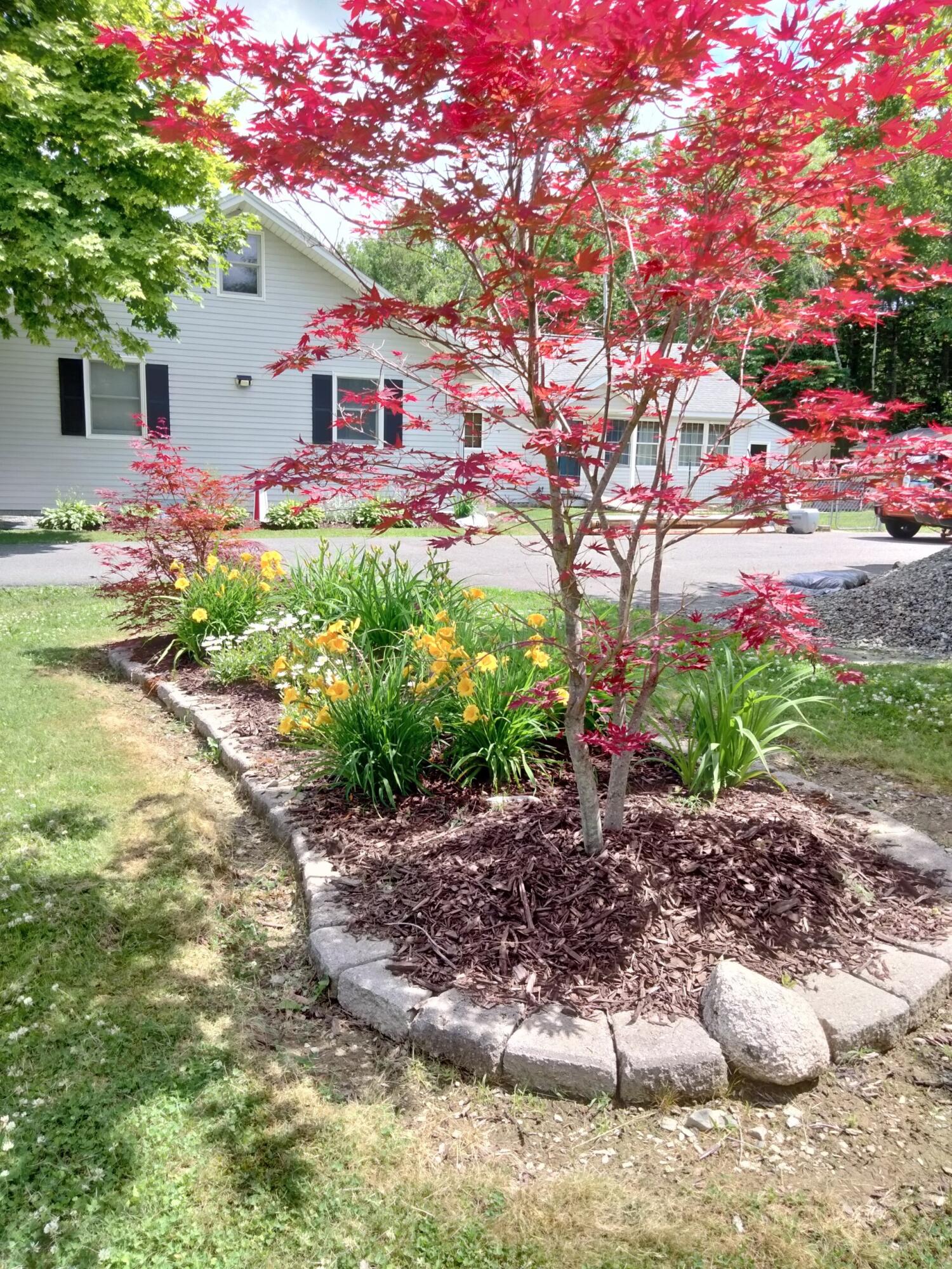 272 Enfield Road Lincoln, ME 04457 - Photo 52 of 58 Flower Bed 3