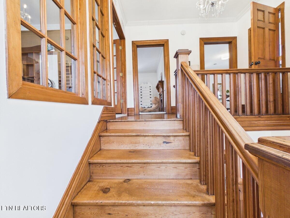 207 Thomas Road Speedwell, TN 37870 - Photo 45 of 60 CAM06131G6-PR0015-STILL055