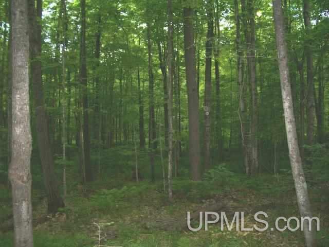 Tbd Johnson Road Sagola, MI 49881 - Photo 2 of 6