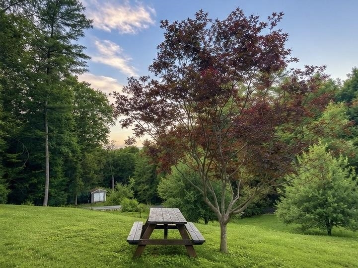108 Hutchins Road Chesterfield, NH 03466 - Photo 4 of 4