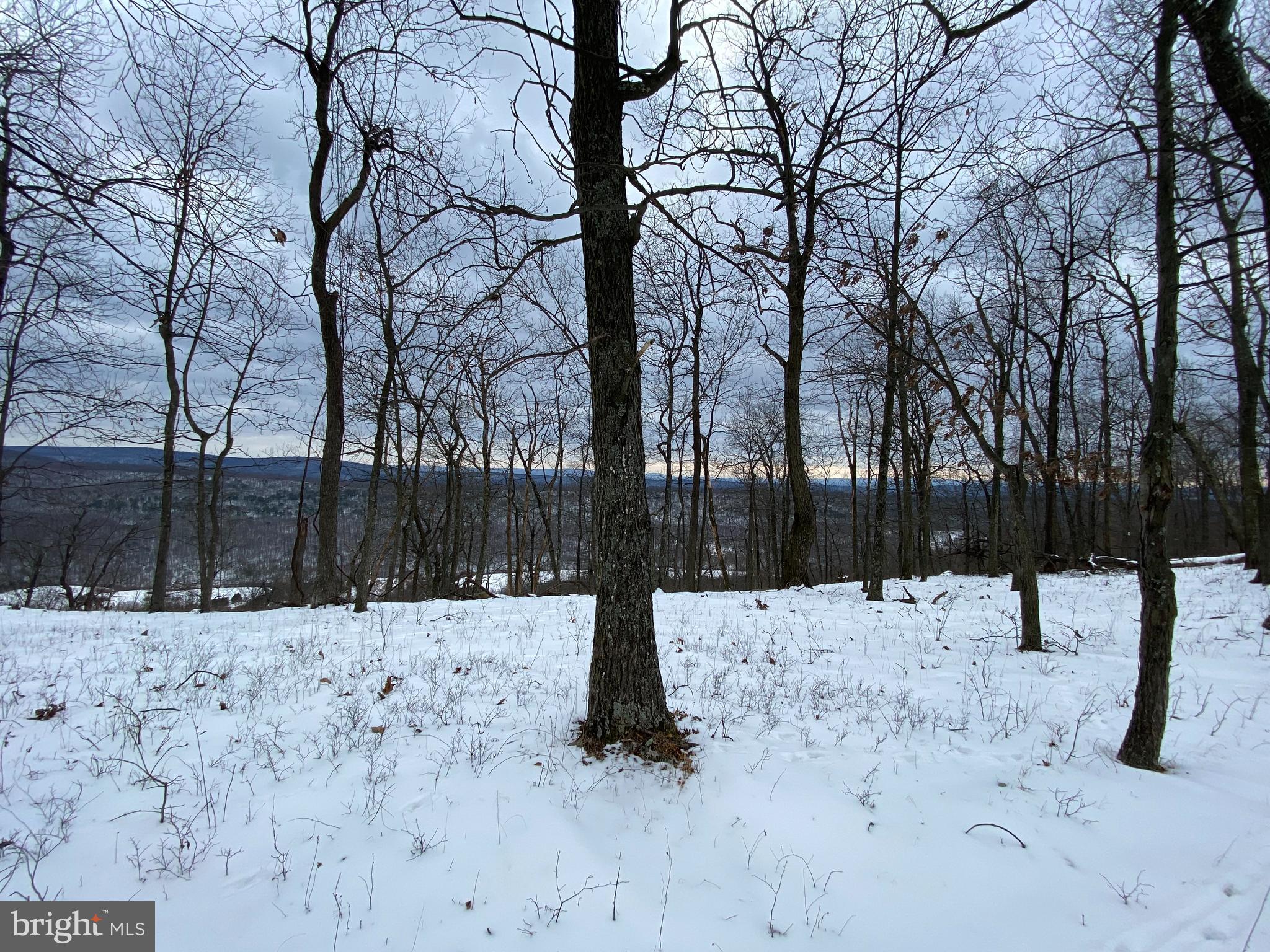 1860 Monroe Mountain Road Clearville, PA 15535 - Photo 2 of 4