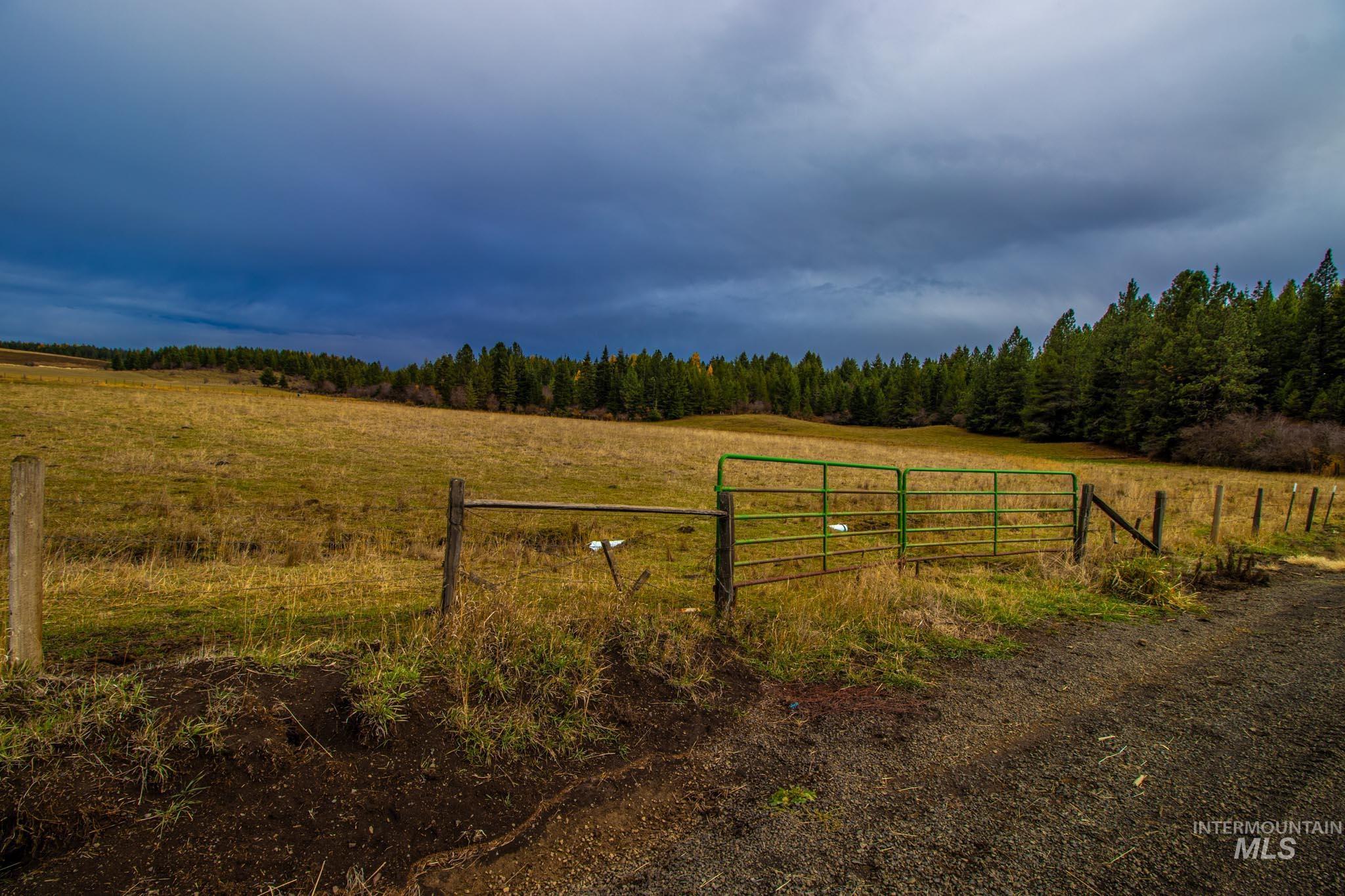 0 Three Three Mile Road Weippe, ID 83553 - Photo 1 of 1 View of street featuring a gate, a view of countryside, and a forest view