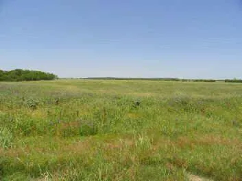a view of an ocean and beach