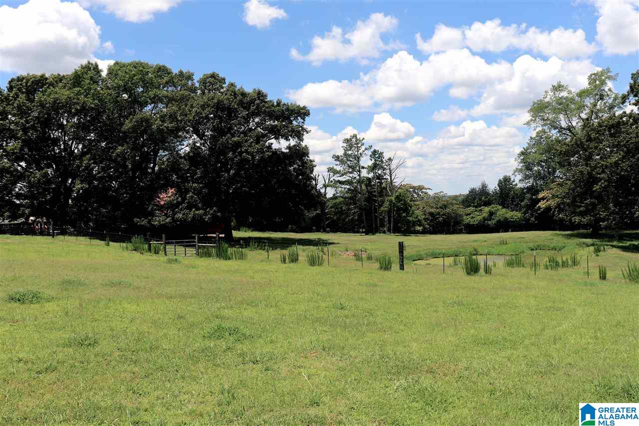 755 Back Bone Road Blountsville, AL 35031 - Photo 30 of 39