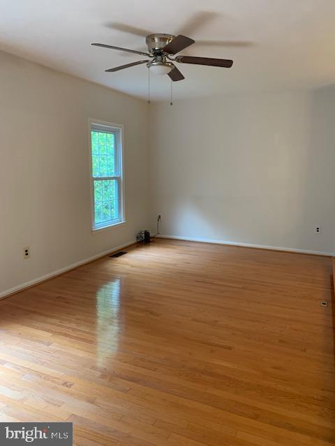 7416 Spring Tree Drive Springfield, VA 22153 - Photo 15 of 32