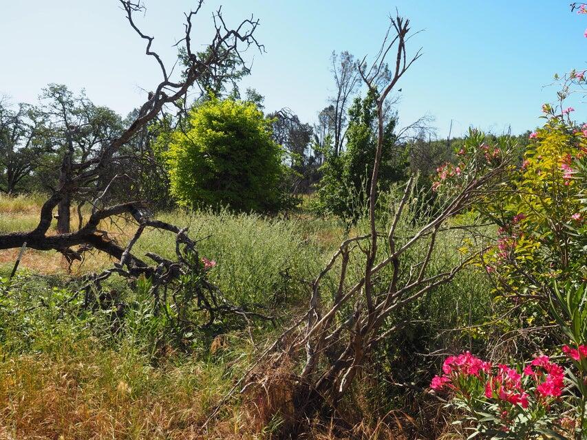 20103 Parocast Road Redding, CA 96003 - Photo 22 of 24 20260519214525108042000000-o