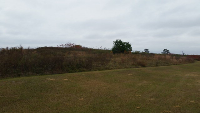 0 Randall Wade/truman Road Headland, AL 36345 - Photo 1 of 1