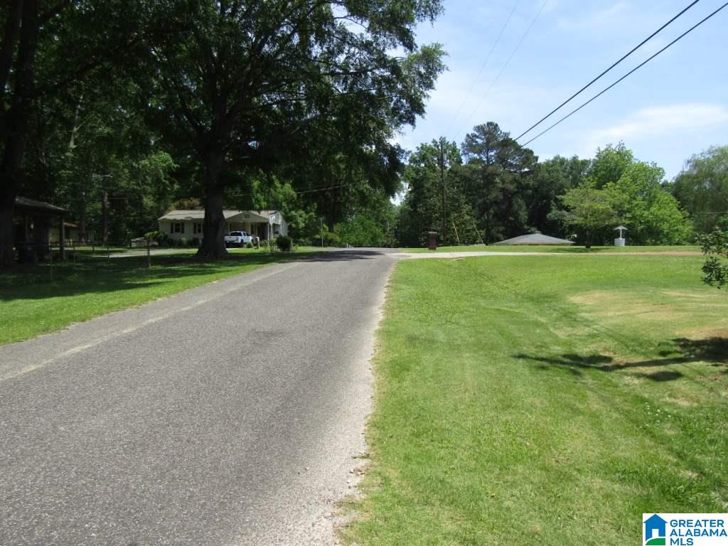 730 Roper Drive Mount Olive, AL 35117 - Photo 4 of 26