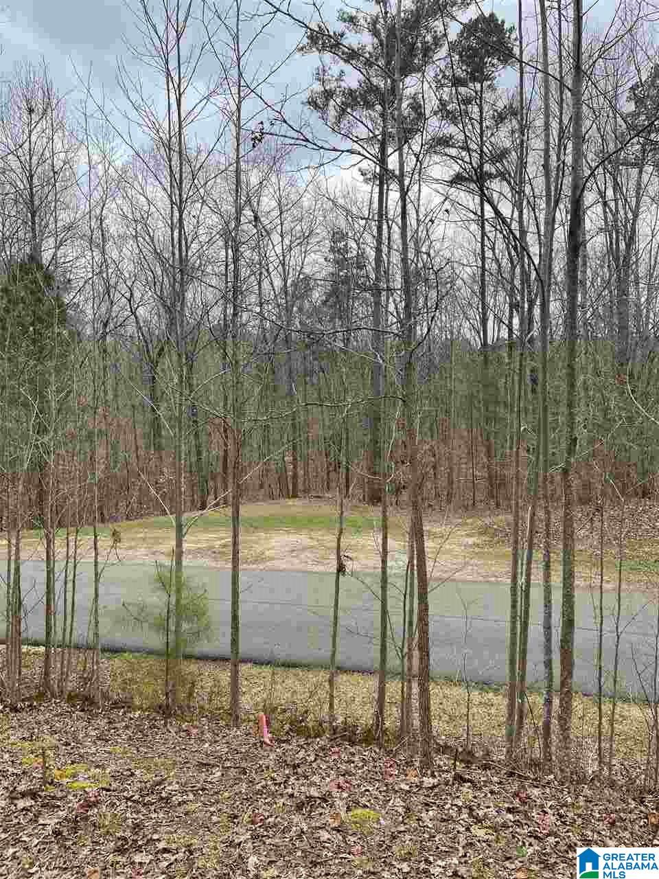 280 Stonegate Drive, Unit 28 Birmingham, AL 35242 - Photo 8 of 9