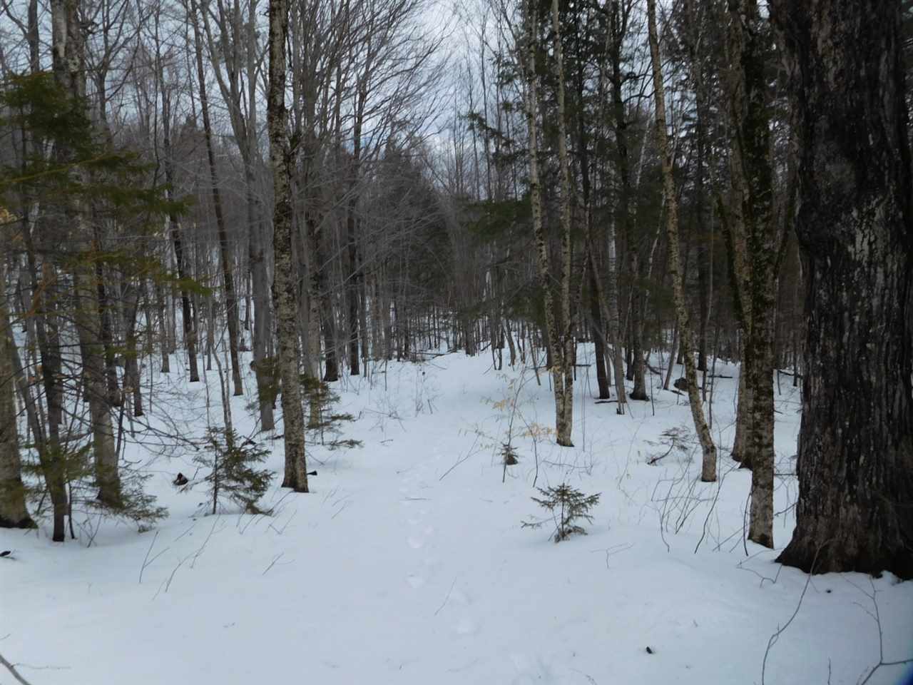 10-15 East Washington Road Washington, NH 03280 - Photo 22 of 30