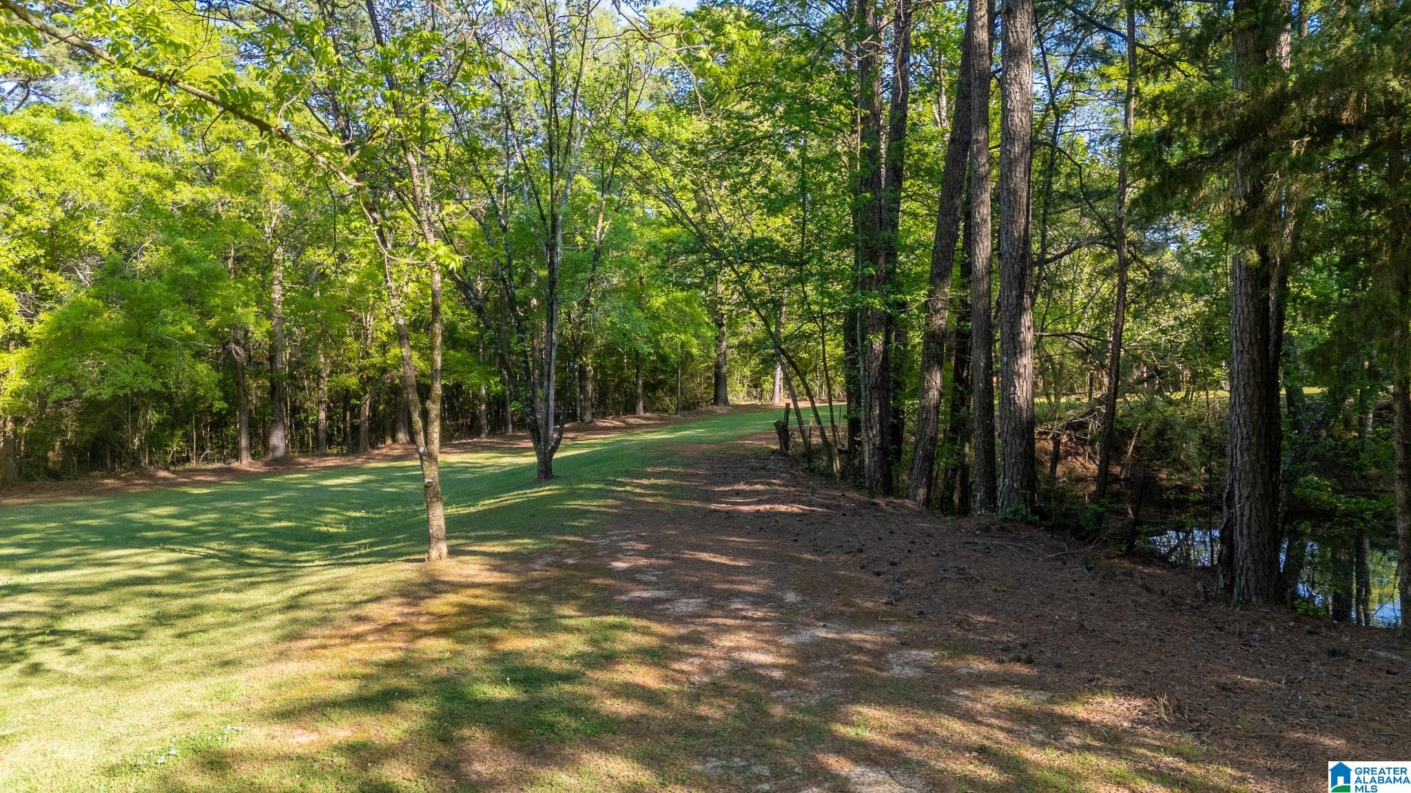 4435 Renfroe Road Talladega, AL 35160 - Photo 81 of 99 Gallery Image 81
